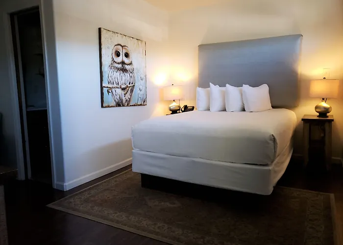 Iron Horse Motel 3*