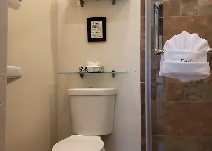 Motel Iron Horse 3*